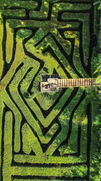 Aerial view of the Albania Labyrinth hedge maze in Apaneca