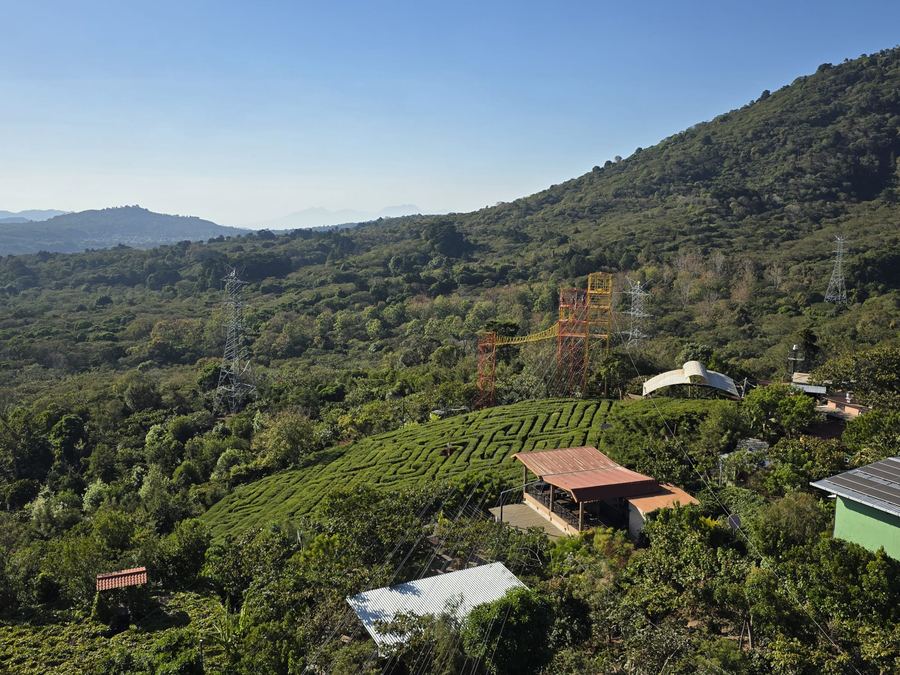 The Albania Labyrinth hedge maze amid the Apaneca mountains