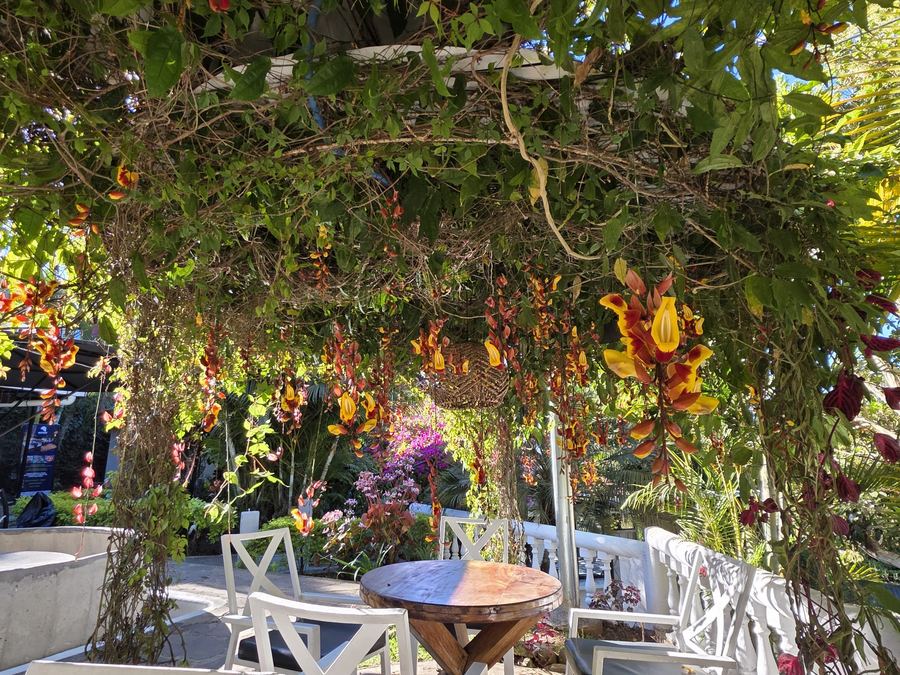 Flower-draped patio seating at Monte Berat