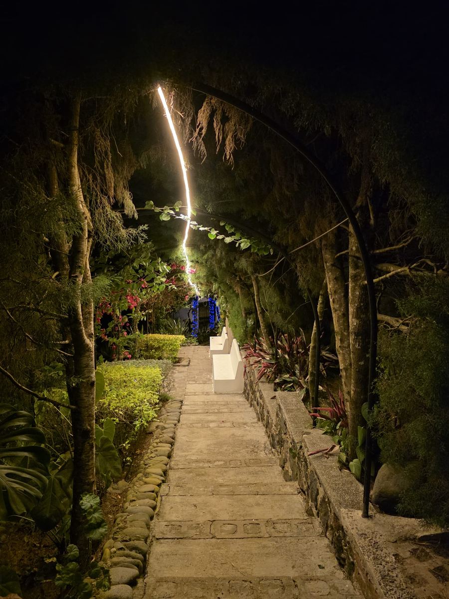 Garden steps lit up at night at Monte Berat