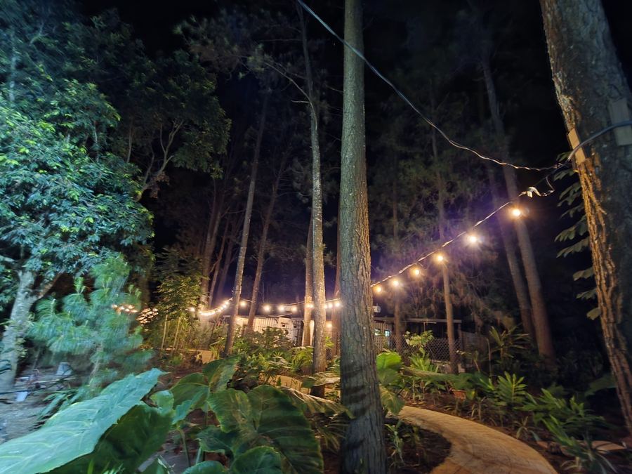 String-lit forest path at the Umbra cabin, Monte Berat